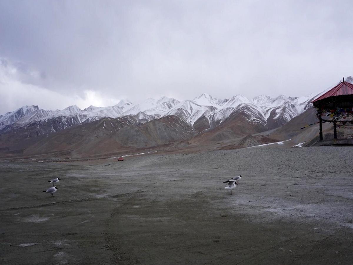 Pangong Delight Camps And Cottages Spangmik 외부 사진