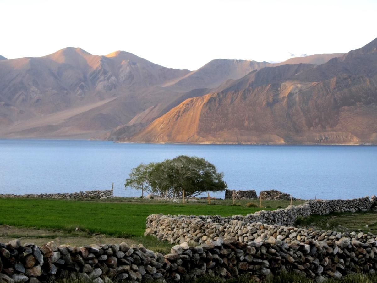 Pangong Delight Camps And Cottages Spangmik 외부 사진